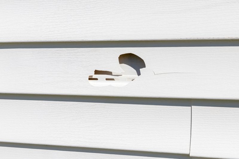 Assessing Vinyl Siding Damage